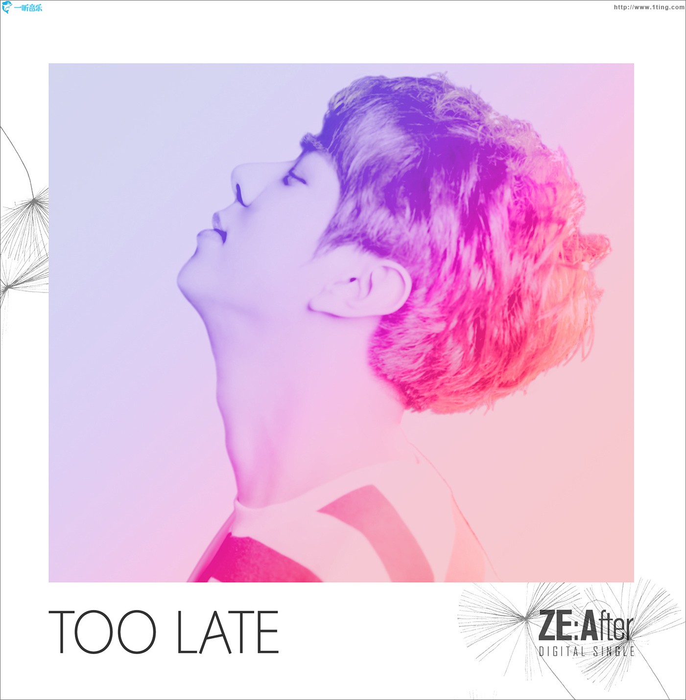 TOO LATE