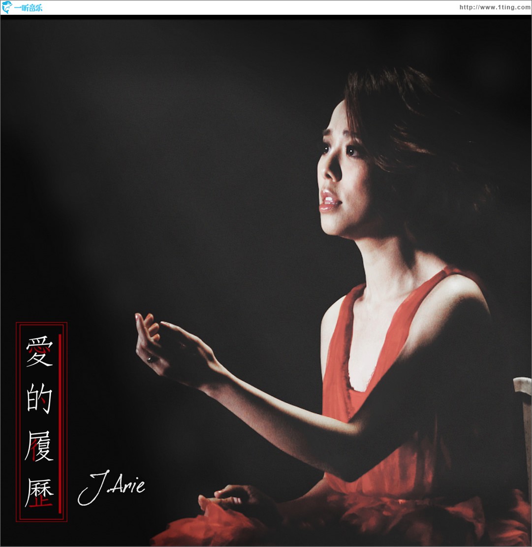 爱的履历 (单曲)