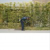 Gold Panda Metal Bird 试听