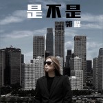 是不是 (单曲)详情