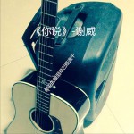你说 (单曲)