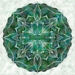 Newborn Mind详情