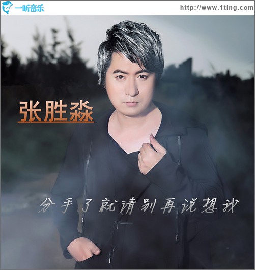 分手了就请别再说想我 (单曲)