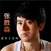 张胜淼 迷失了方向 试听