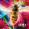 ムック/MUCC ハイデ 试听