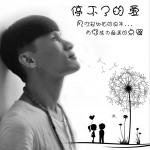 停不了的爱 (单曲)详情