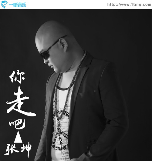 你走吧 (单曲)