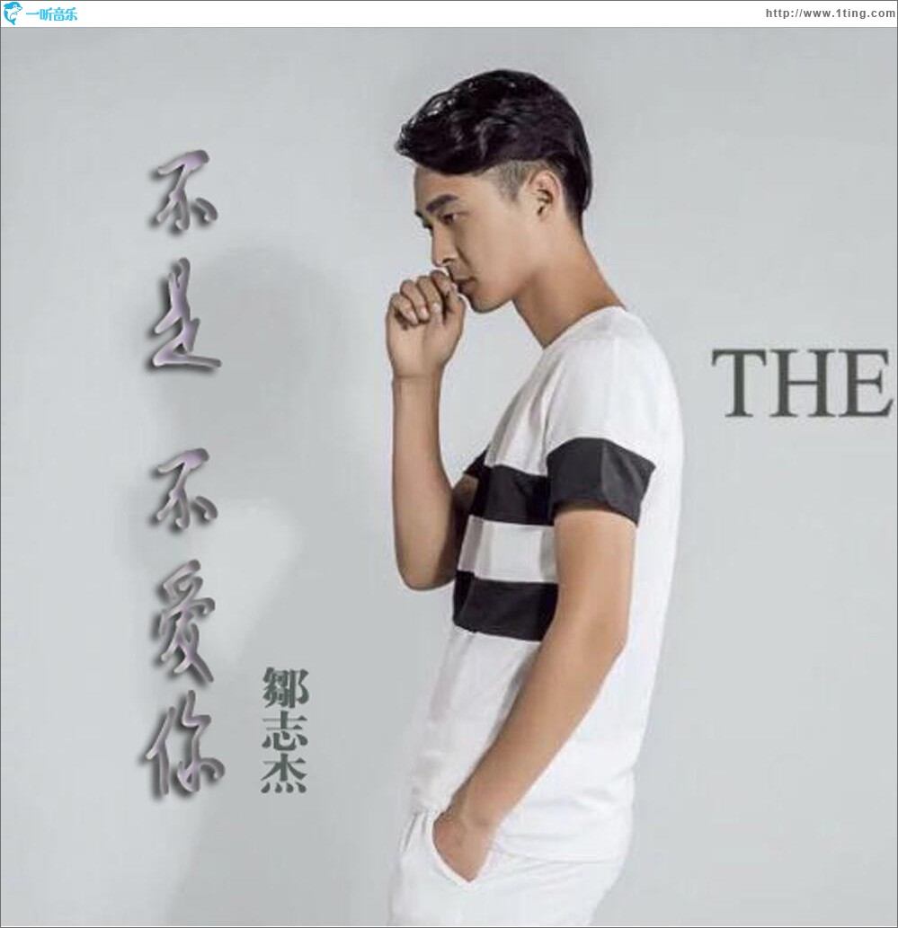 不是不爱你 (单曲)