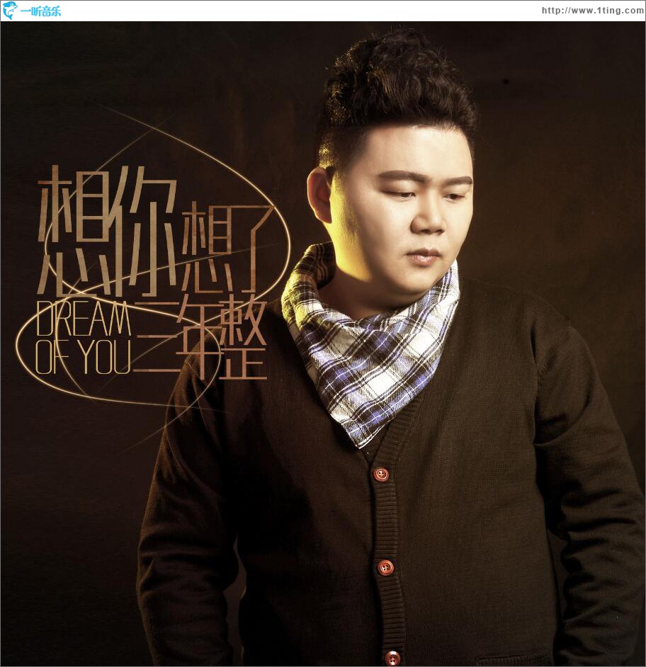 想你想了三年整 (单曲)