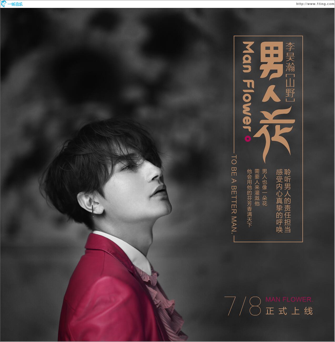男人花 (单曲)