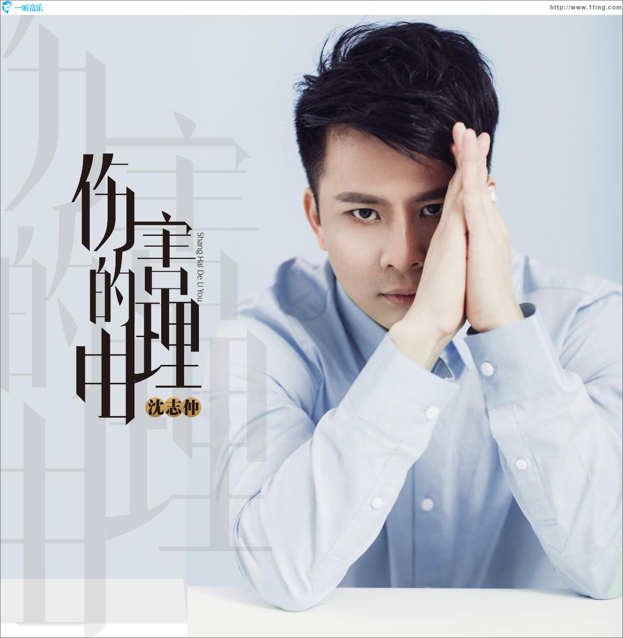 伤害的理由 (单曲)