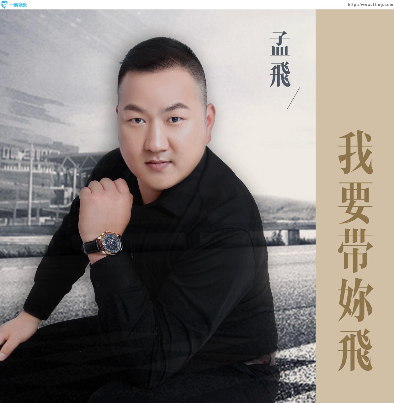 我要等你飞 (单曲)