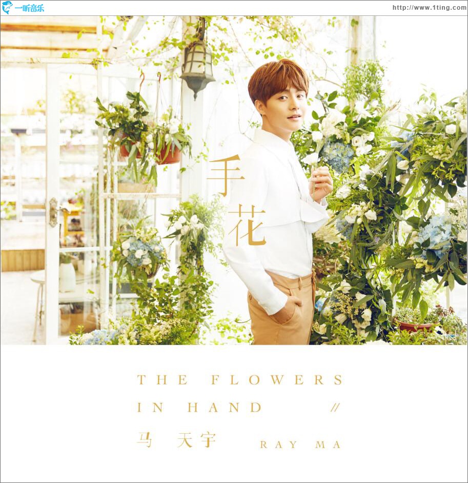 手花 (单曲)
