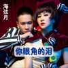 海弦月 你眼角的泪 试听