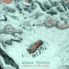 Adam Young The Fairchild 试听