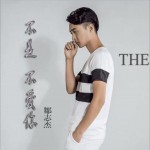 不是不爱你 (单曲)详情