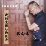 我的爱情已经离去 (单曲)