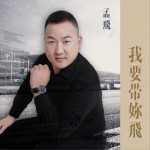 我要等你飞 (单曲)详情