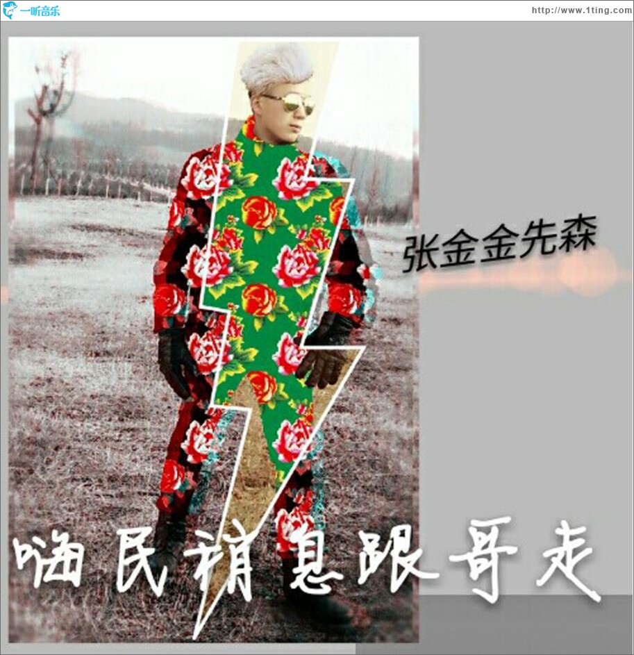 嗨民稍息跟哥走