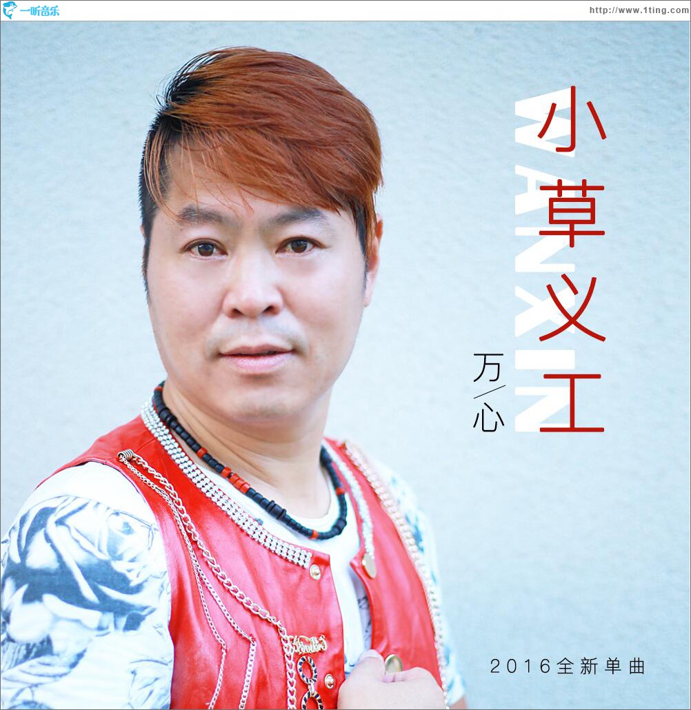 小草义工 (单曲)
