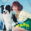 交个男朋友还是养条狗 (单曲)