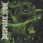 Beast详情