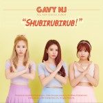 슈비루비룹详情
