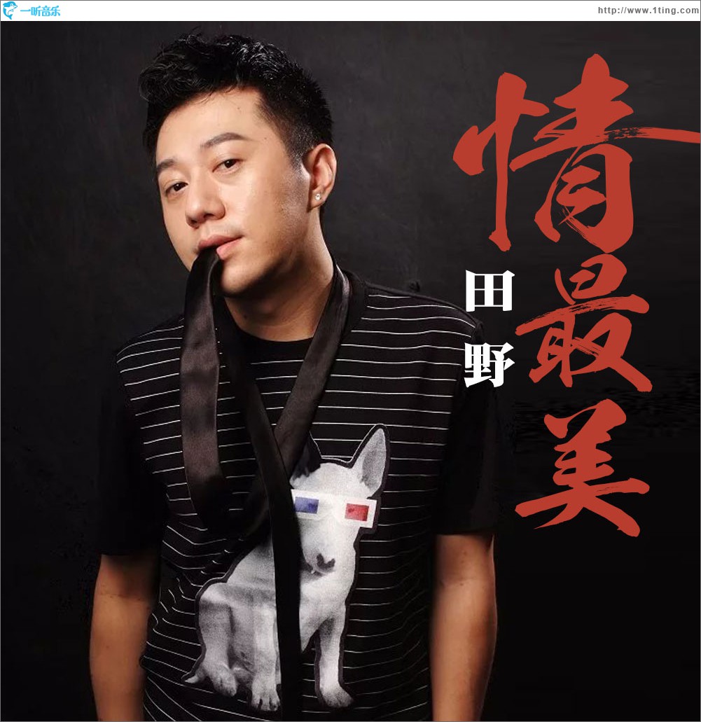 情最美 (单曲)
