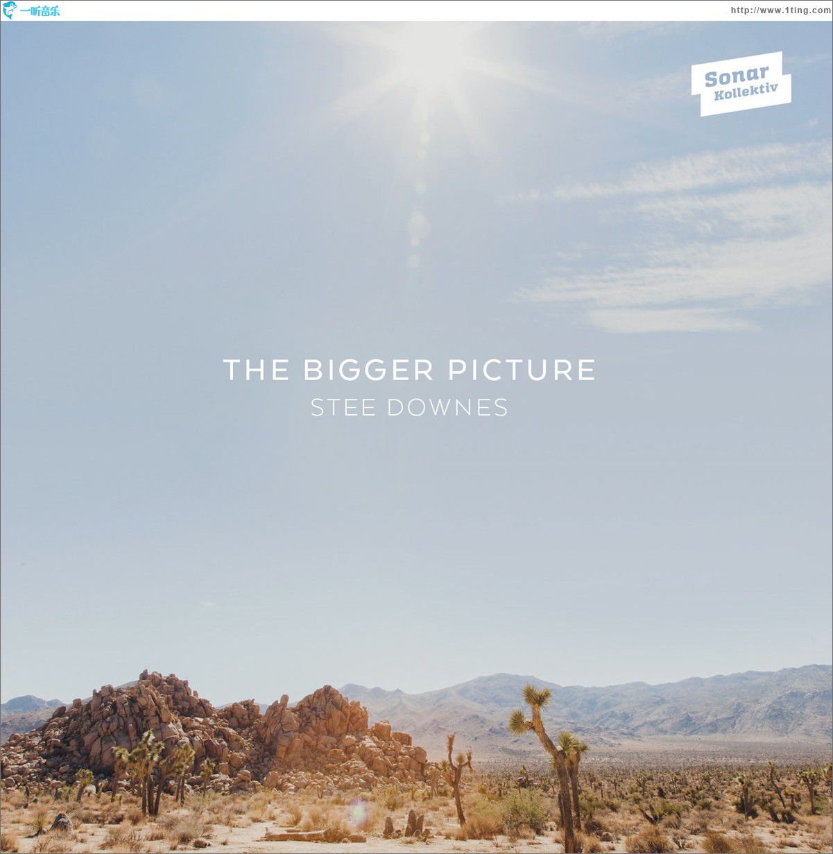 The Bigger Picture