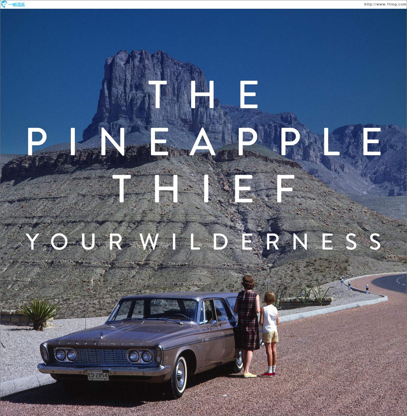 Your Wilderness