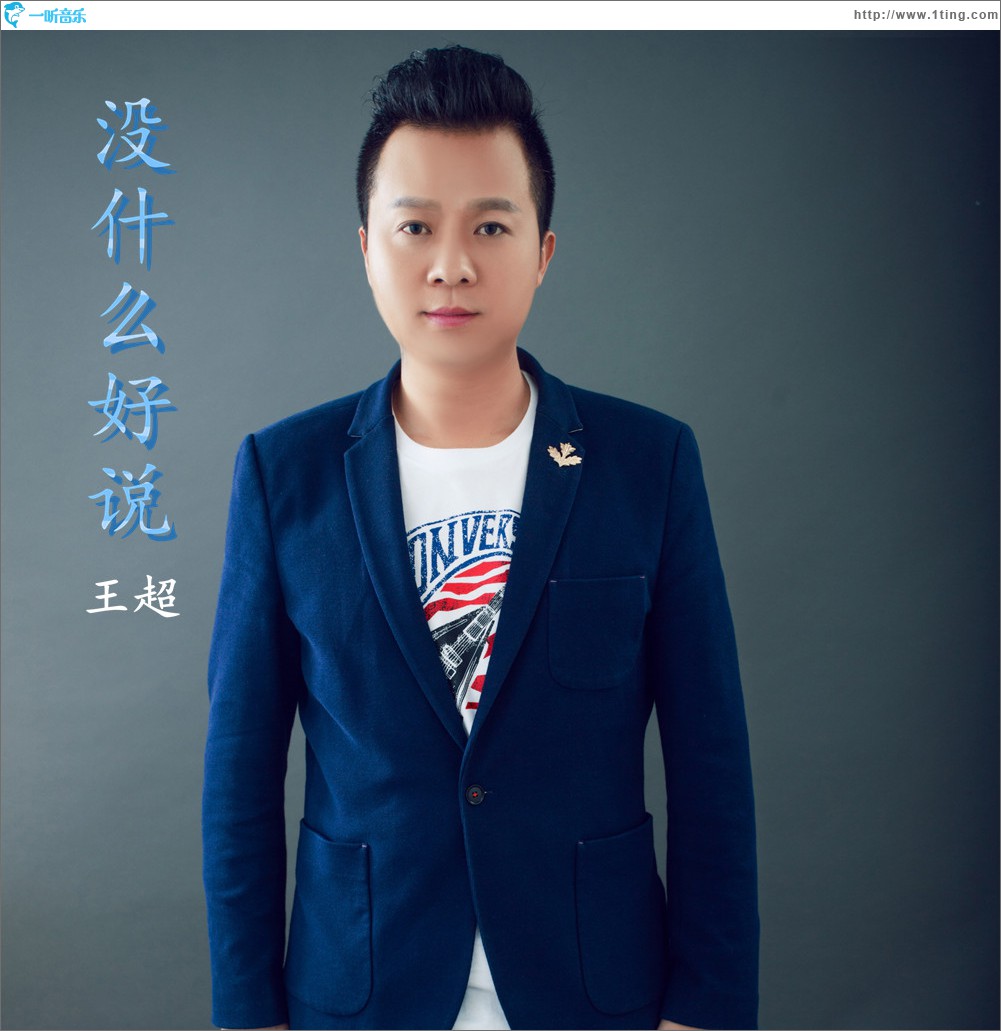 没什么好说 (单曲)