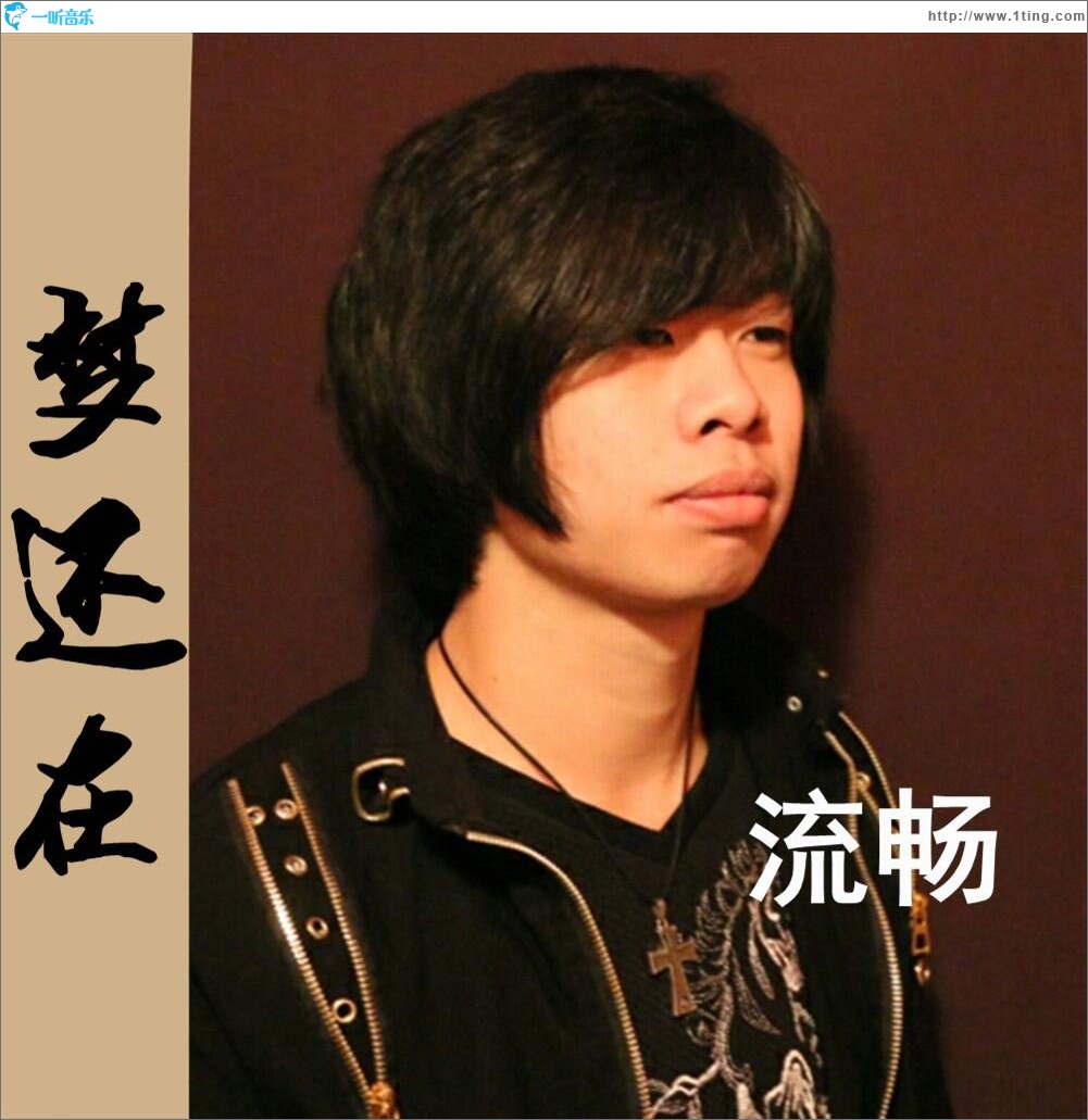 梦还在 (单曲)