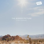 The Bigger Picture详情