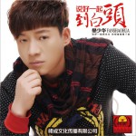 说好一起到白头 (单曲)