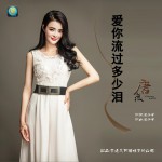 爱你流过多少泪 (单曲)详情