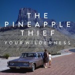 Your Wilderness详情