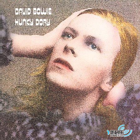Hunky Dory