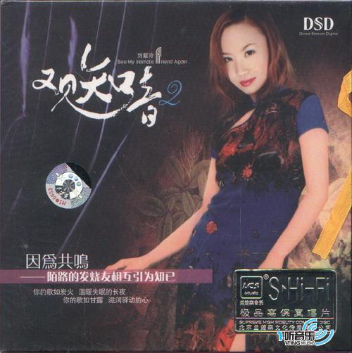 又见知音 2