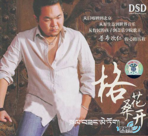 格桑花开