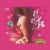 吴菲菲 母亲 (深情版) 试听