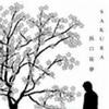 テニスの王子様 浜口祐夢.Sakura