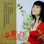 梦里花 眼泪详情