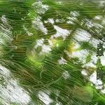 虫师原声音乐 Mushishi详情