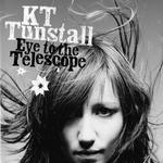 Eye to the Telescope详情