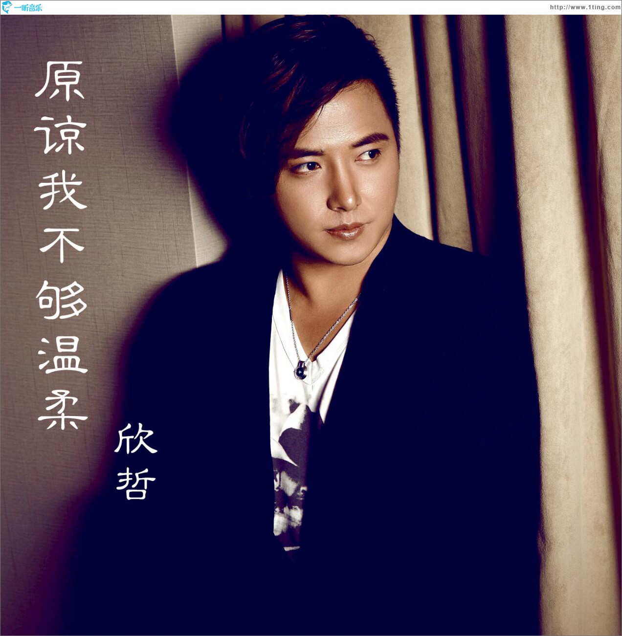 原谅我不够温柔 (单曲)