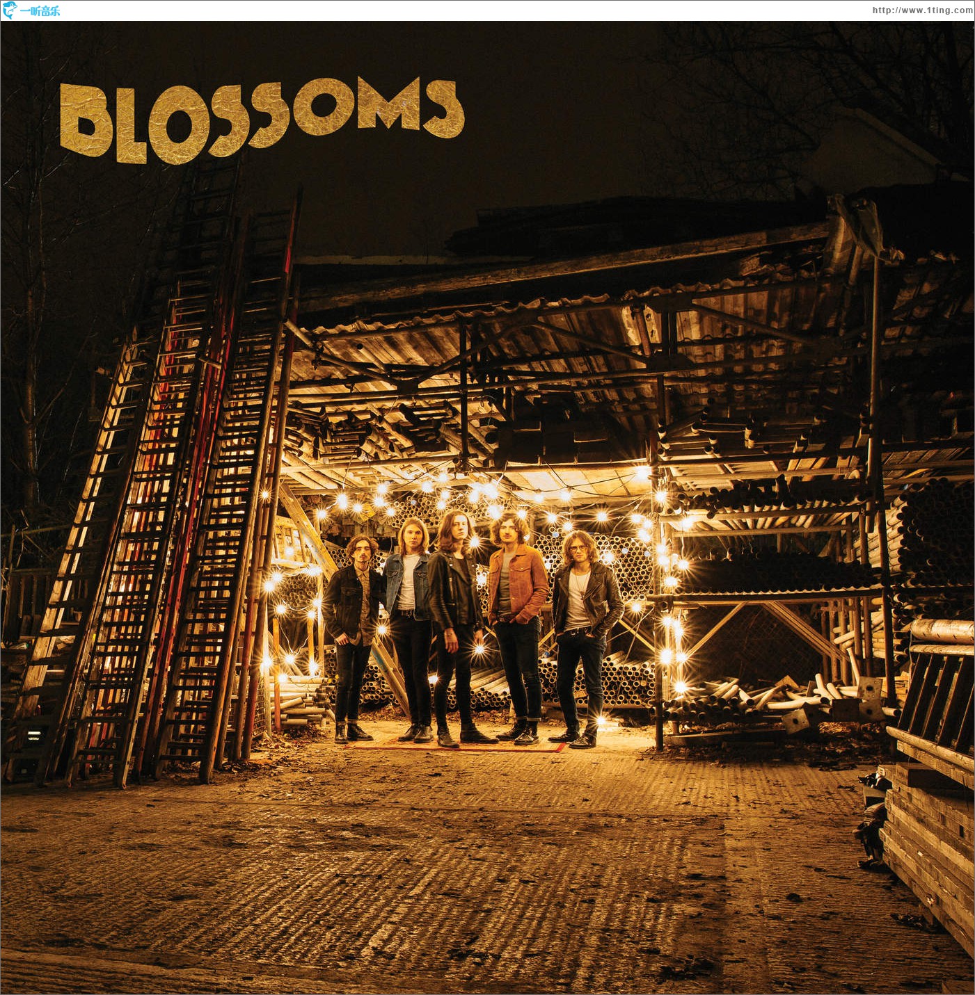 Blossoms