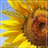 欧美群星 New Day (Andrey Exx & Fomichev Remix) - Easy L. 试听