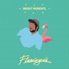 Flamingosis Airplane Mode 试听