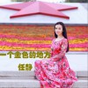 任静 一个金色的地方 试听
