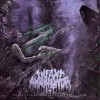 Infant Annihilator Unholy Gravebirth 试听